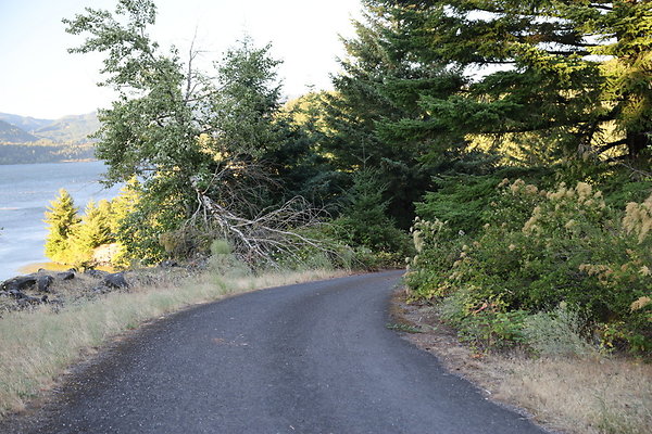 Government Island 503