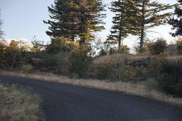 Government Island 498