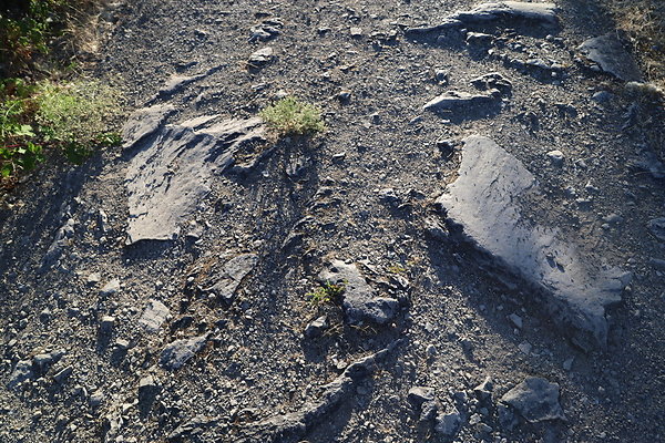 Government Island 252