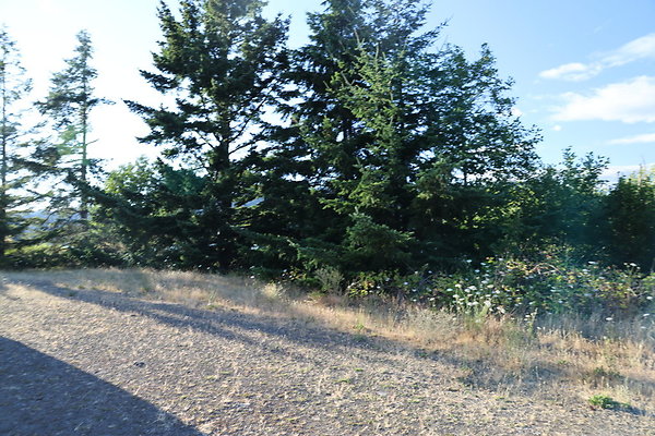 Government Island 106