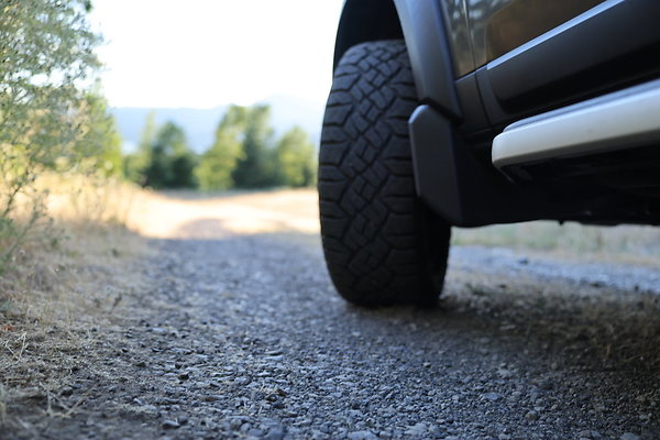 Government Island 527