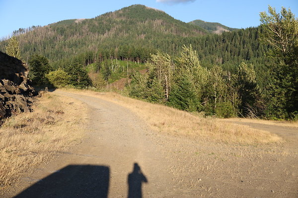 Government Island 550