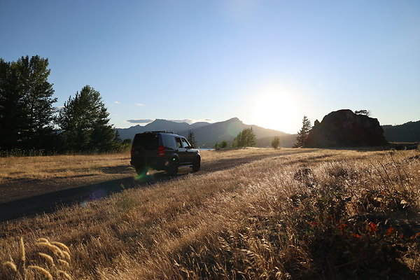 Government Island 578