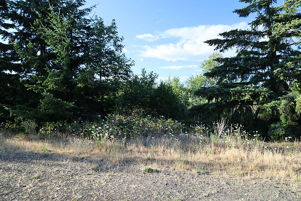 Government Island 105