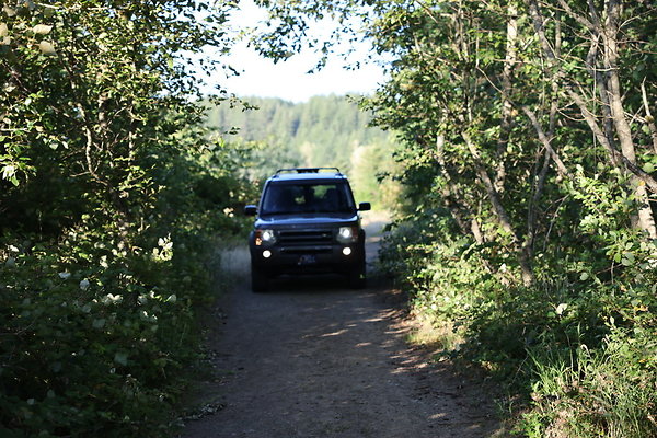 Government Island 313