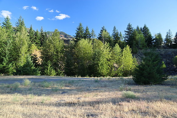 Government Island 221