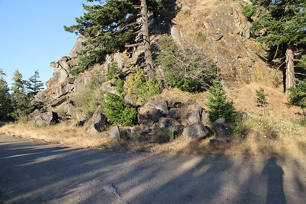 Government Island 404