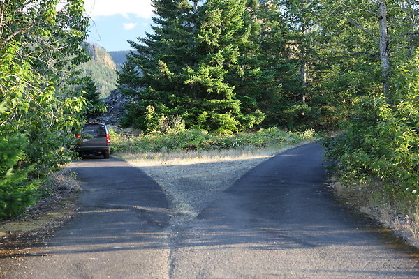 Government Island 481