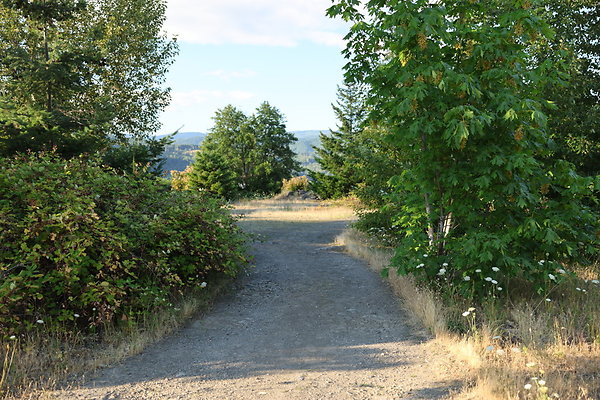 Government Island 170