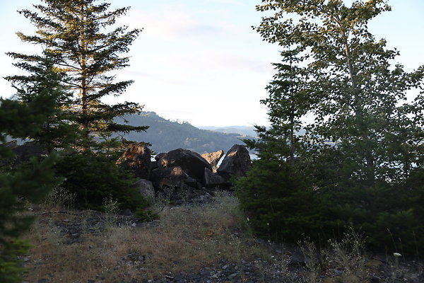 Government Island 433