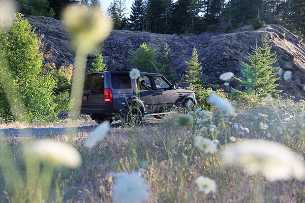 Government Island 239