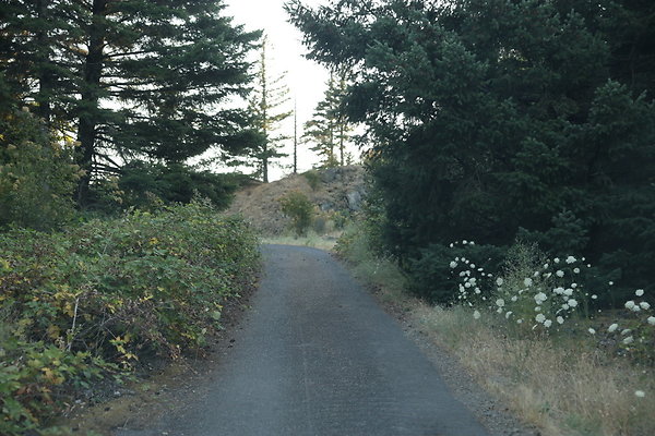 Government Island 488