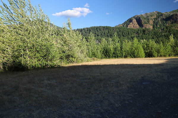 Government Island 079