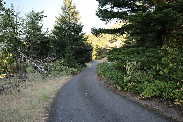 Government Island 508