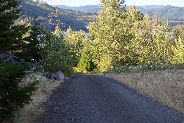 Government Island 070