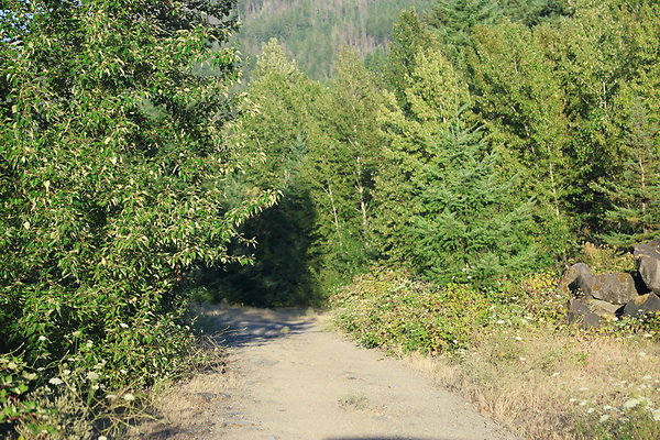 Government Island 466