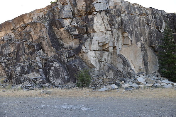 Government Island 051