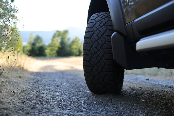 Government Island 528