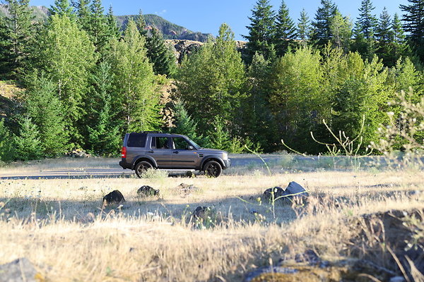 Government Island 208