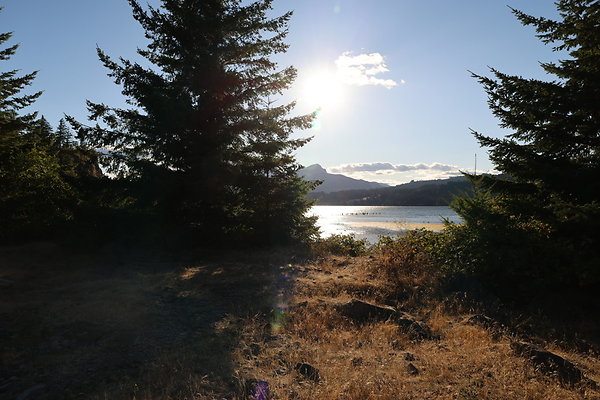 Government Island 150