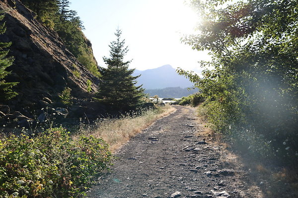 Government Island 247