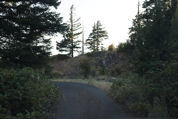 Government Island 492