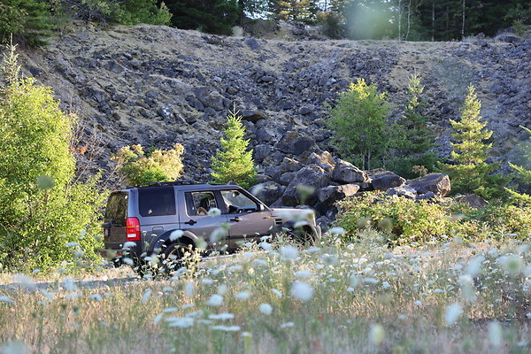 Government Island 238