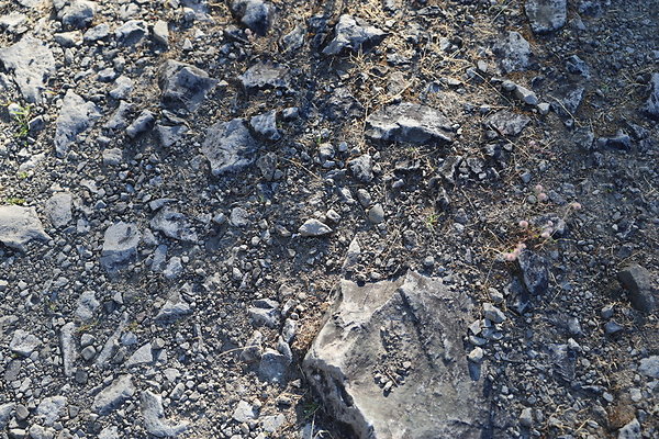 Government Island 147