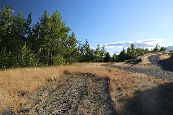 Government Island 021