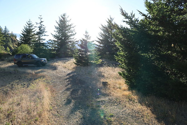 Government Island 140