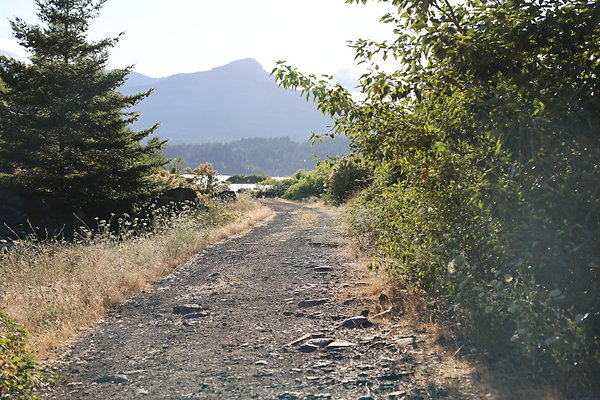 Government Island 249