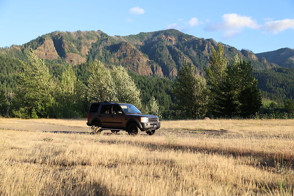 Government Island 597