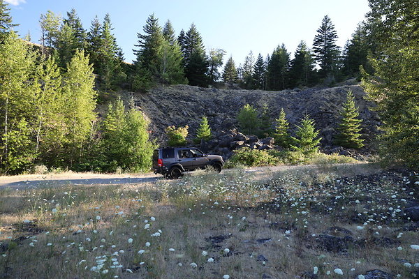 Government Island 231