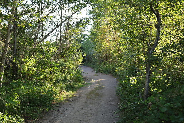 Government Island 305