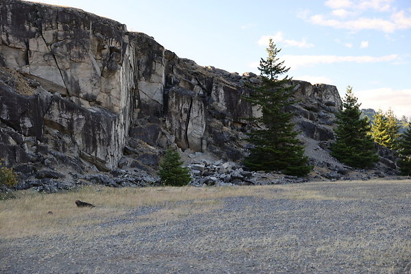 Government Island 053