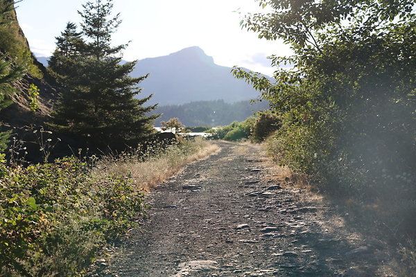 Government Island 256