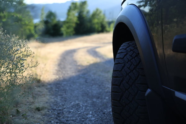 Government Island 524