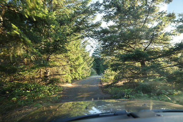 Government Island 483