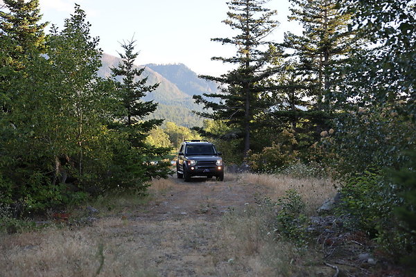 Government Island 437