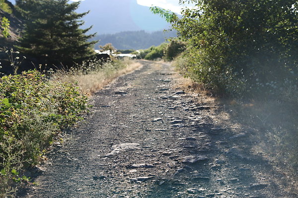 Government Island 255