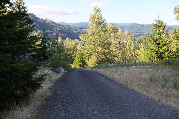 Government Island 069