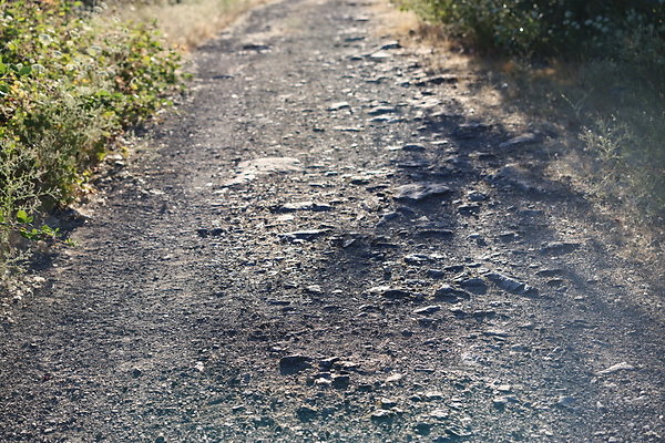 Government Island 254