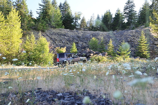 Government Island 236