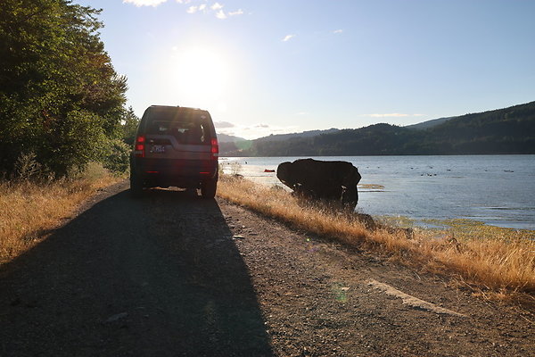 Government Island 291