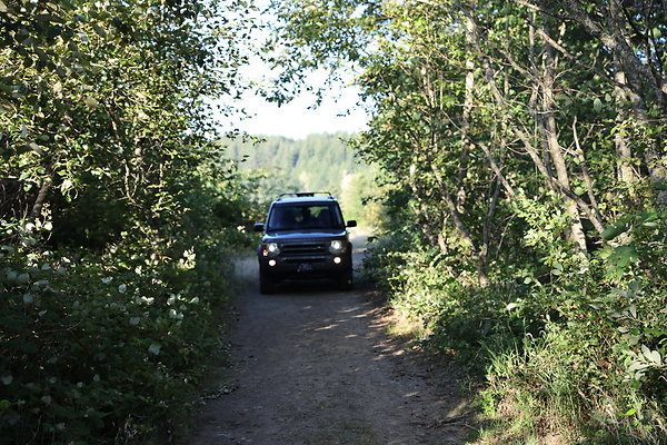 Government Island 312