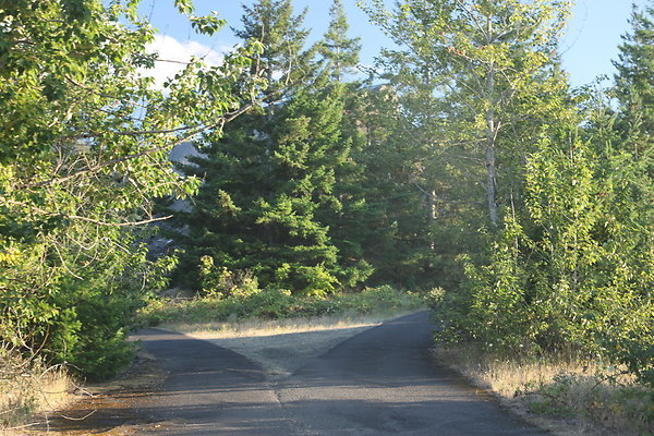 Government Island 470