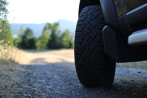 Government Island 529