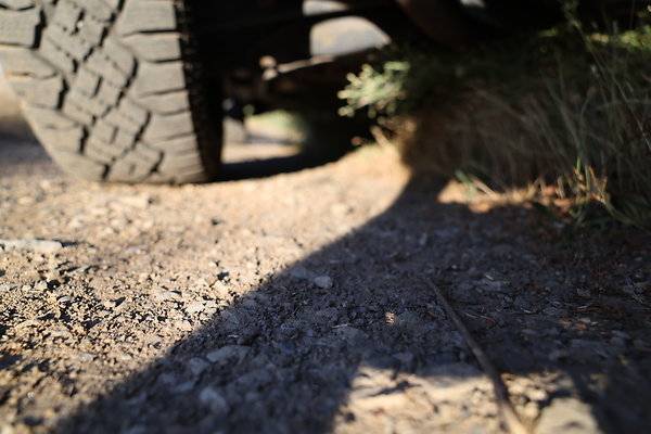 Government Island 463