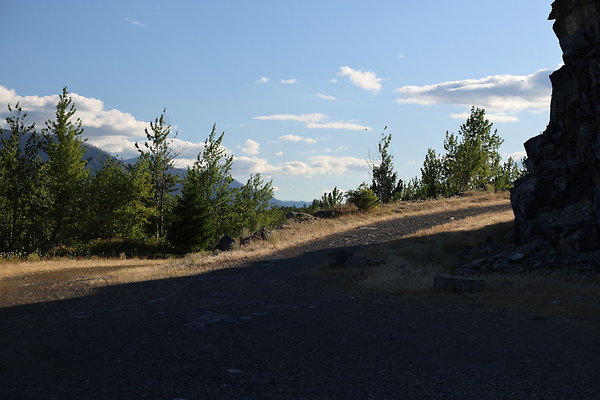 Government Island 046