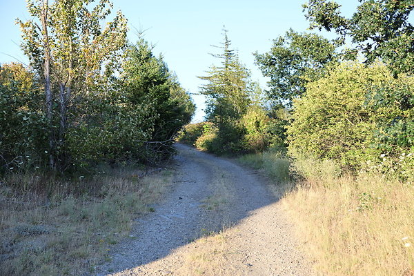 Government Island 532